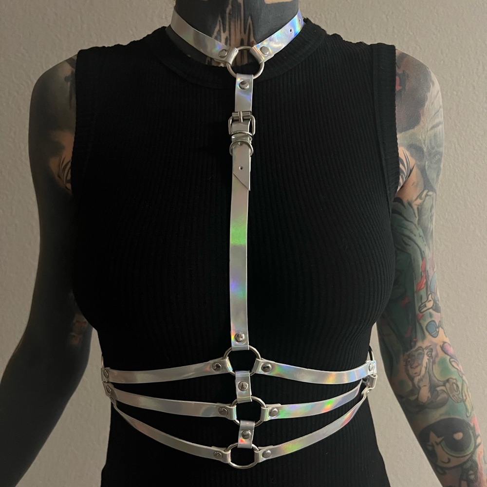Holographic colored harness
